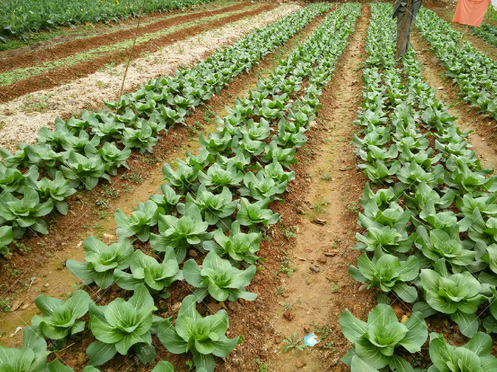 1557817778184165.jpg 微信圖片_20171113170439.jpg