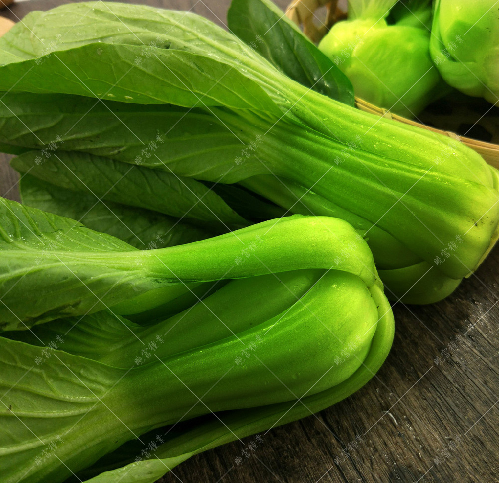 1557882894250859.jpg 22051501_095156065000_2.jpg