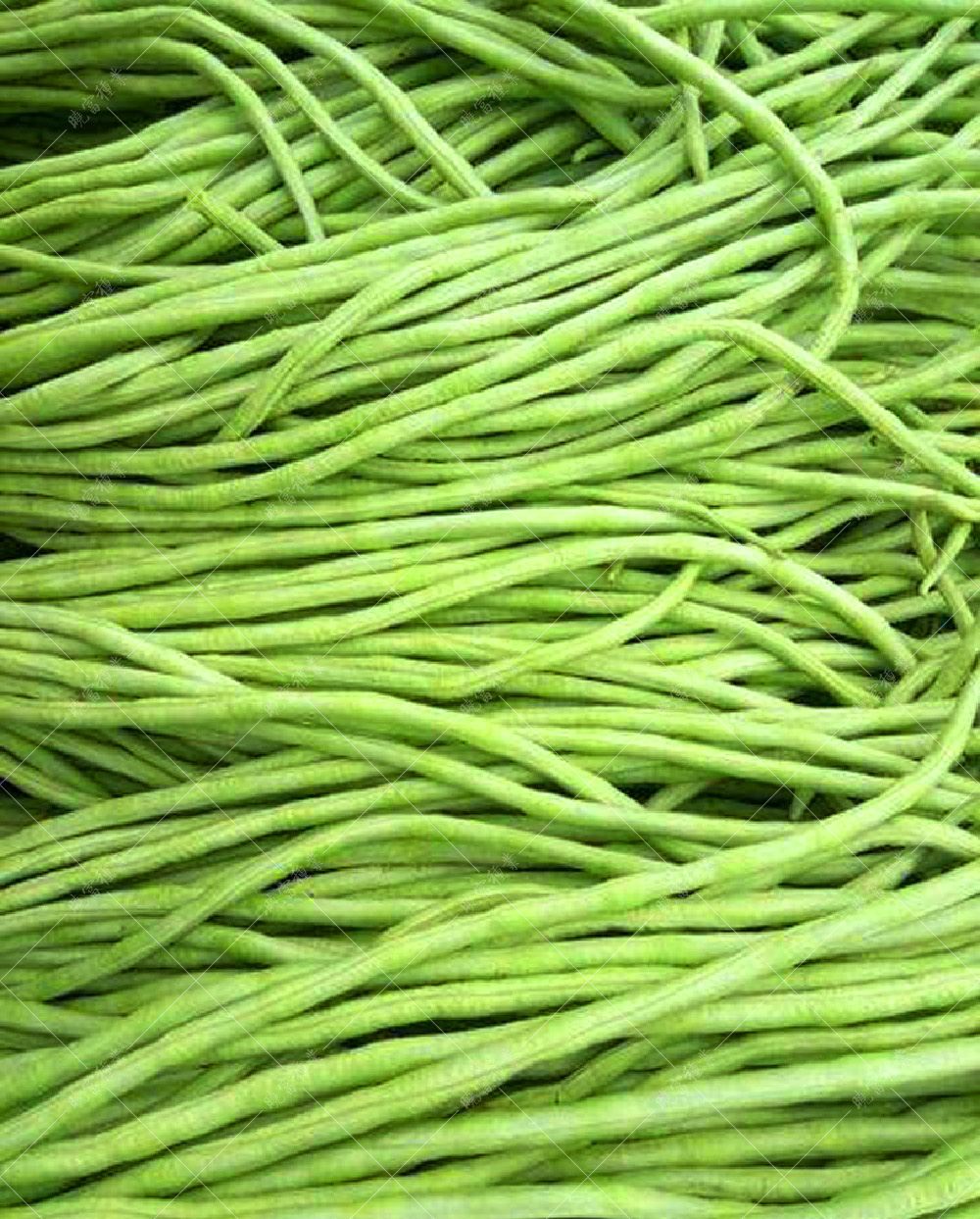 1557968821781814.jpg 55.jpg