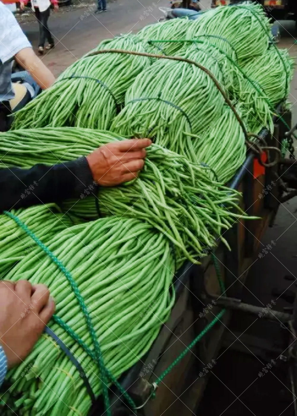 1557978077928836.jpg 未標(biāo)題-1.jpg