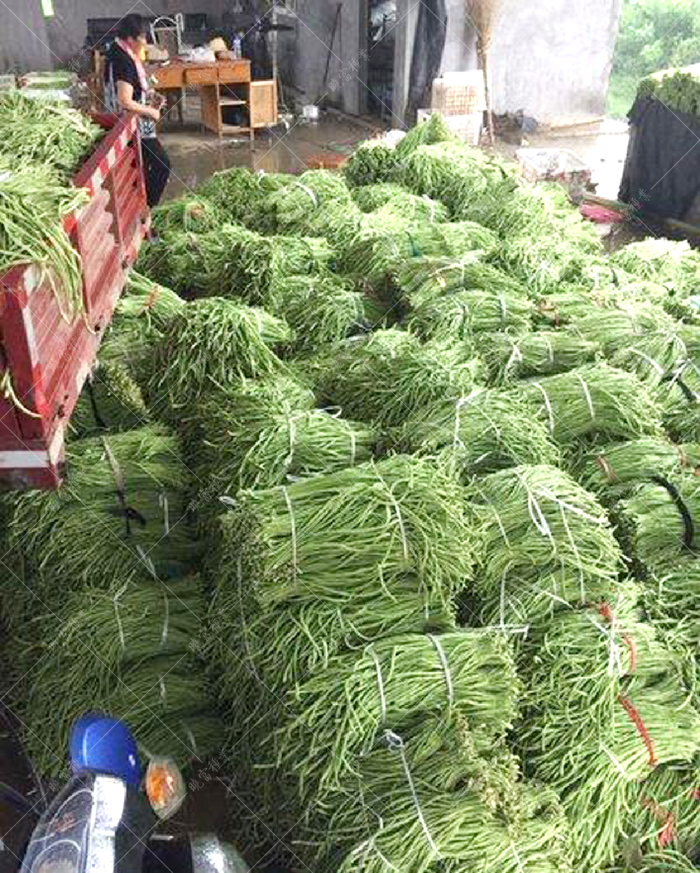 1557986403538657.jpg 56.jpg