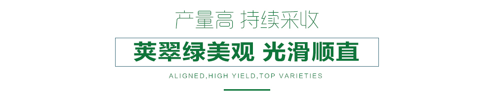 1558056292915940.jpg 詳情頁24.jpg