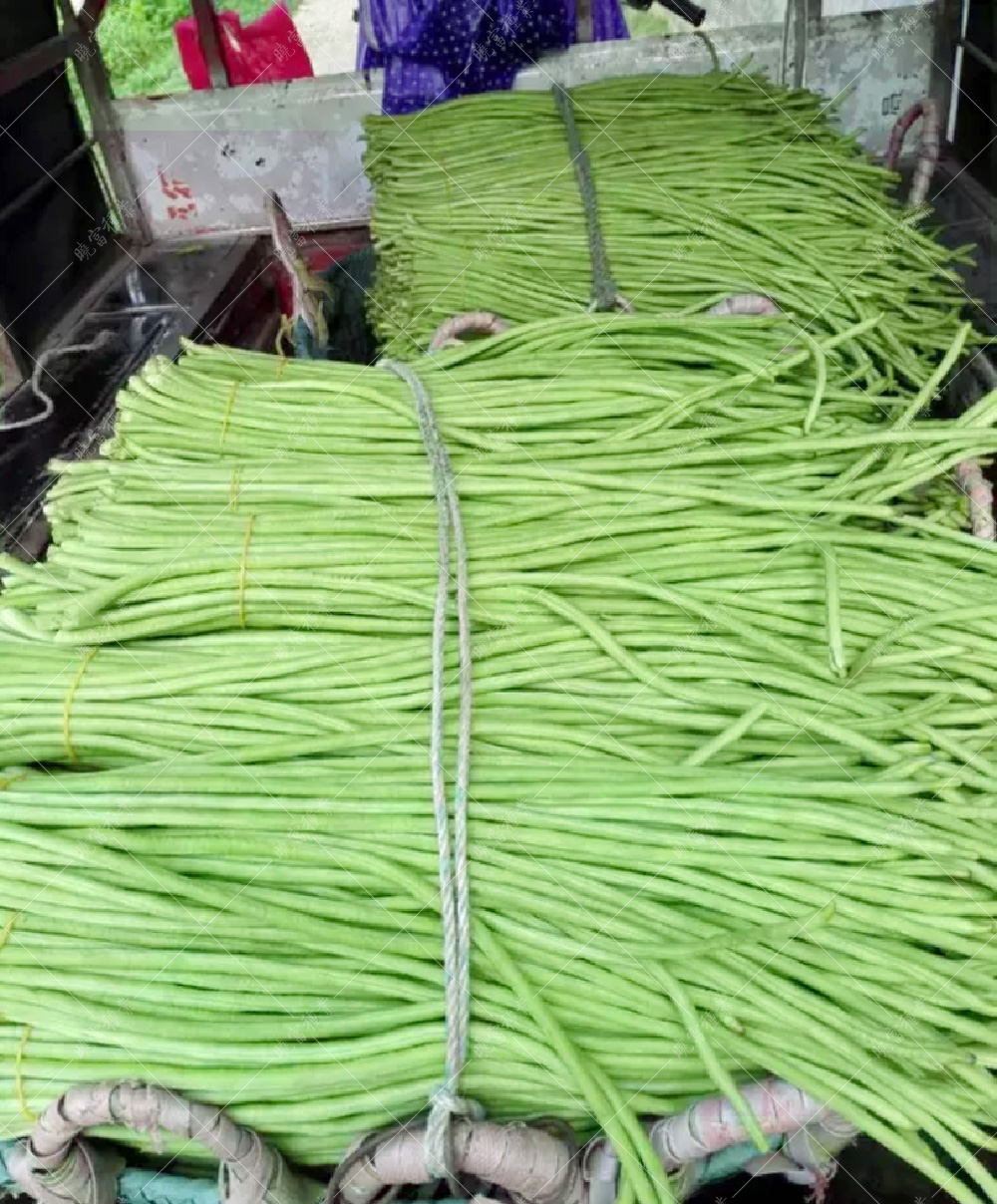 1558056296881394.jpg 55.jpg