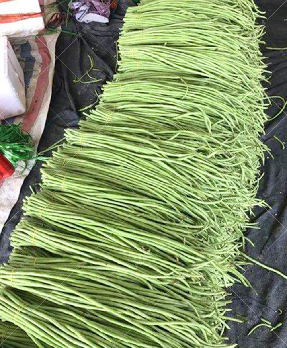 1558057254511849.jpg 54.jpg