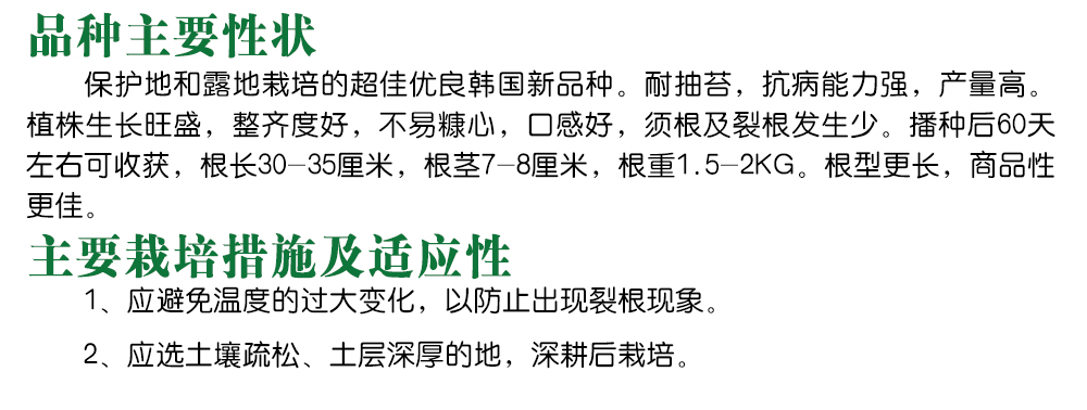 1585789530872387.jpg 10.jpg