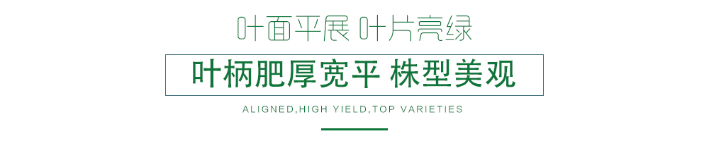 1600245696211329.jpg 07.jpg