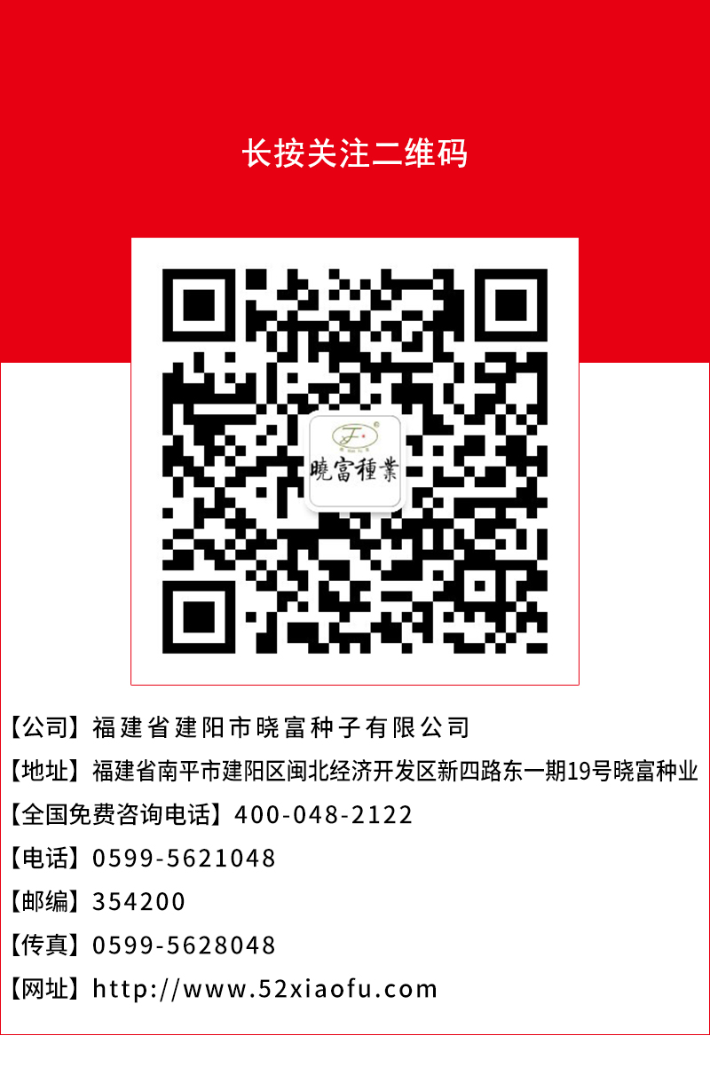 1600246065248870.jpg 頁底.jpg